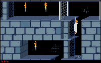 Prince Of Persia, on Amiga 500